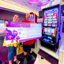 Cashback Program