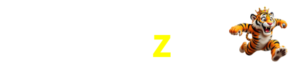 Logo da 9z